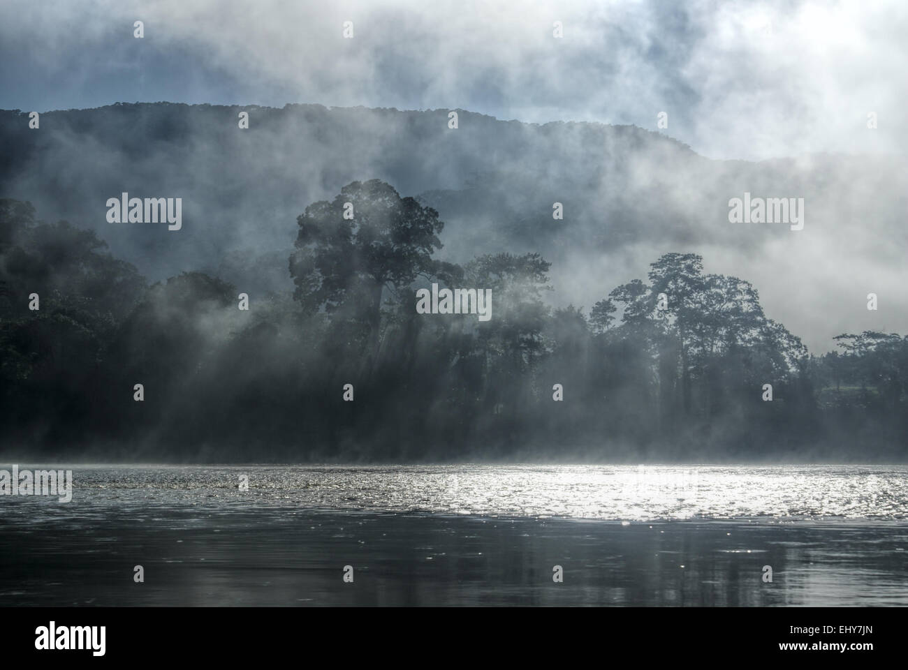 Misty nubi nella giungla boliviana foreste con la luce solare che passa attraverso di esse Foto Stock
