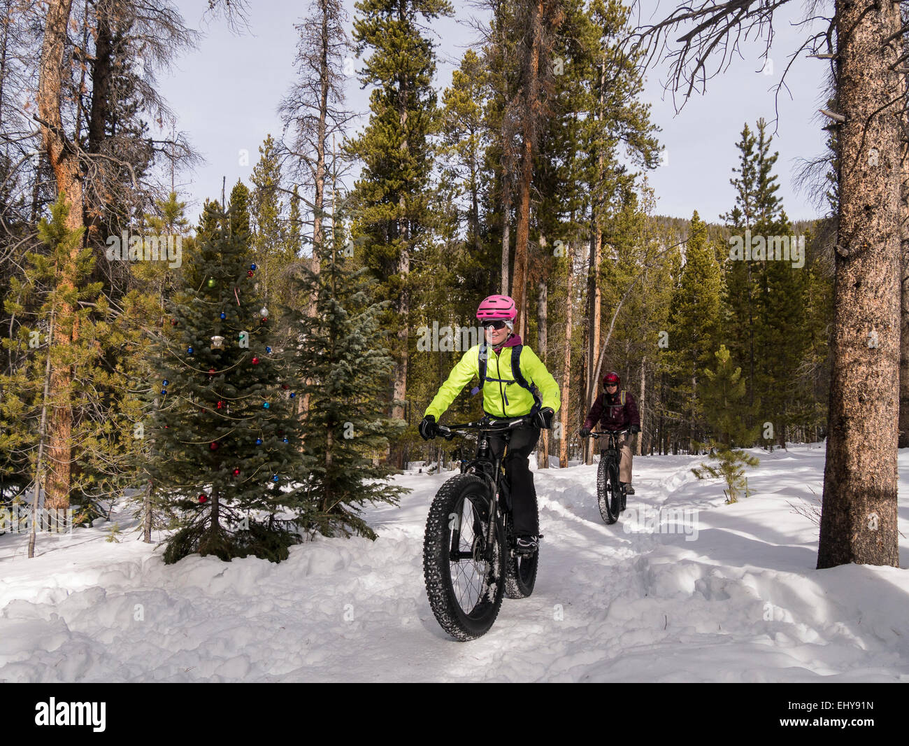 Due donne a guidare la propria bici grasso, Breckenridge, Colorado. Foto Stock