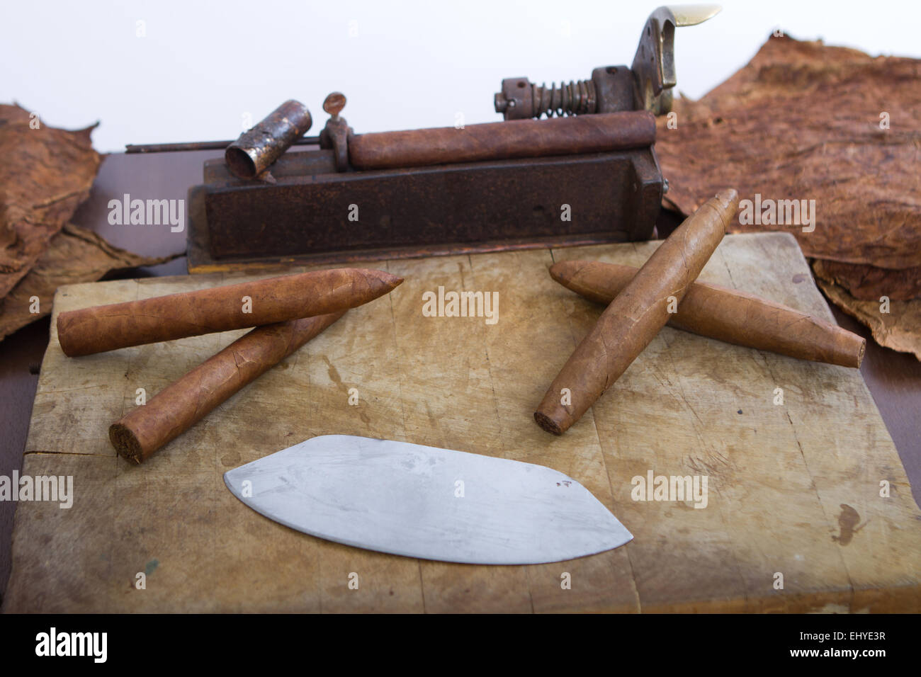 Foglie Del Tabacco Per I Sigari Fotografia Stock - Immagine Di Marrone - Foto 2