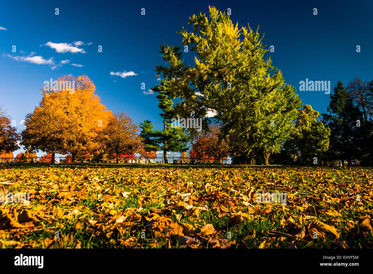 Colore di autunno a Gettysburg National Cemetery, Pennsylvania. Foto Stock