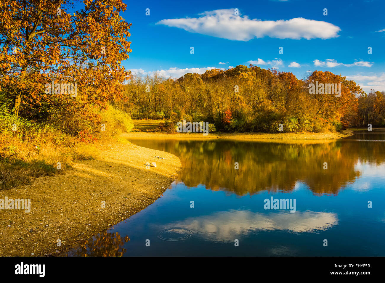 Colore di autunno al Lago di Marburg, Codorus parco statale, Pennsylvania. Foto Stock