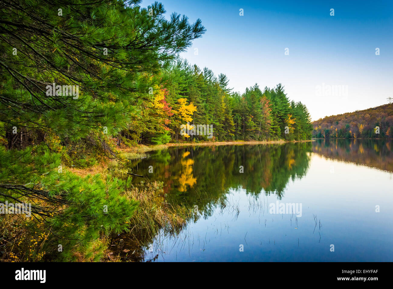 Autunno riflessioni di lunga esecuzione di Pino serbatoio, in Michaux la foresta di stato, Pennsylvania. Foto Stock