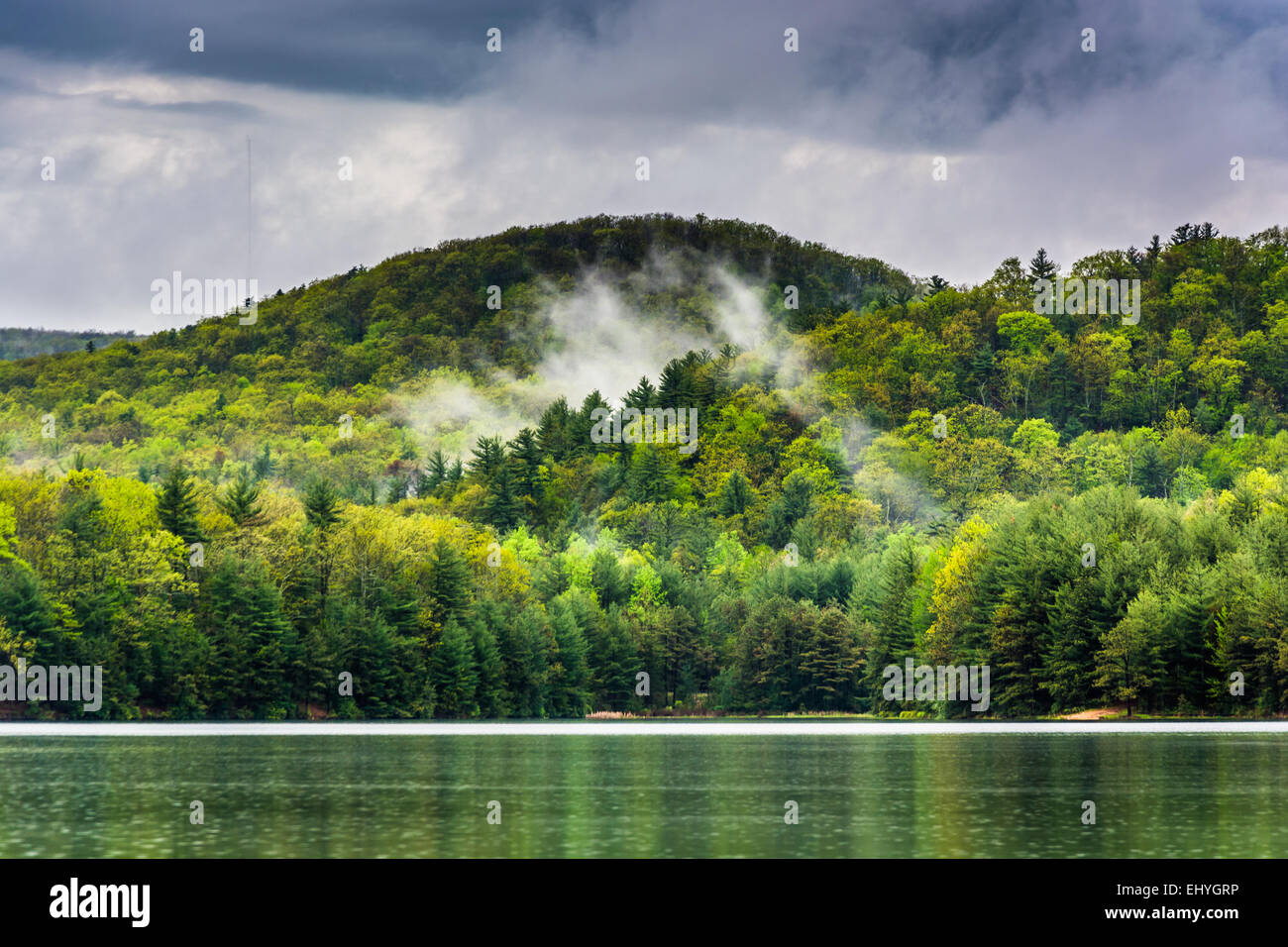 Cancellazione di nebbia sulle montagne a lunga esecuzione di Pino serbatoio, Michaux la foresta di stato, Pennsylvania. Foto Stock