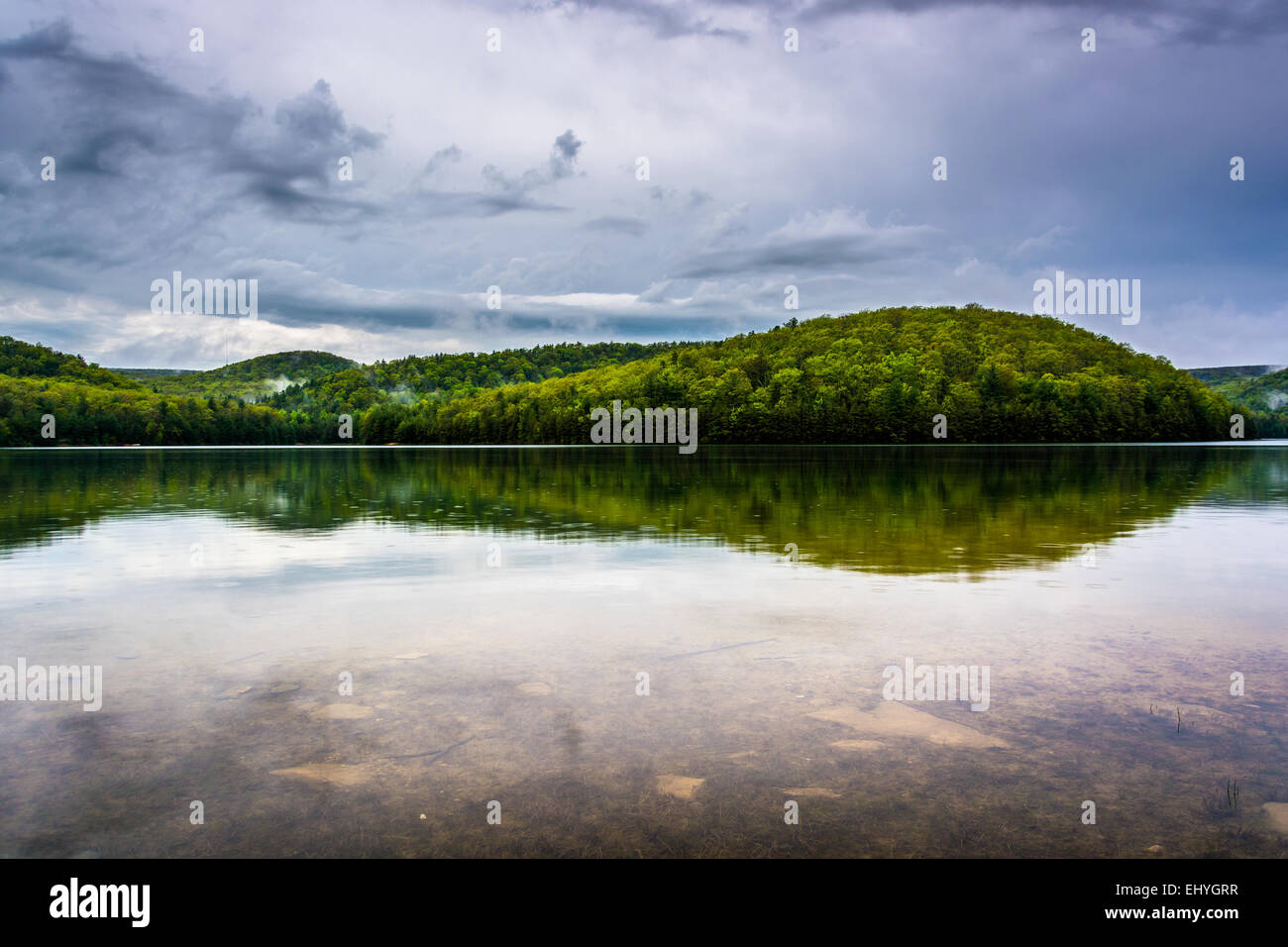 Cancellazione di nuvole temporalesche a lunga esecuzione di Pino serbatoio, in Michaux la foresta di stato, Pennsylvania. Foto Stock