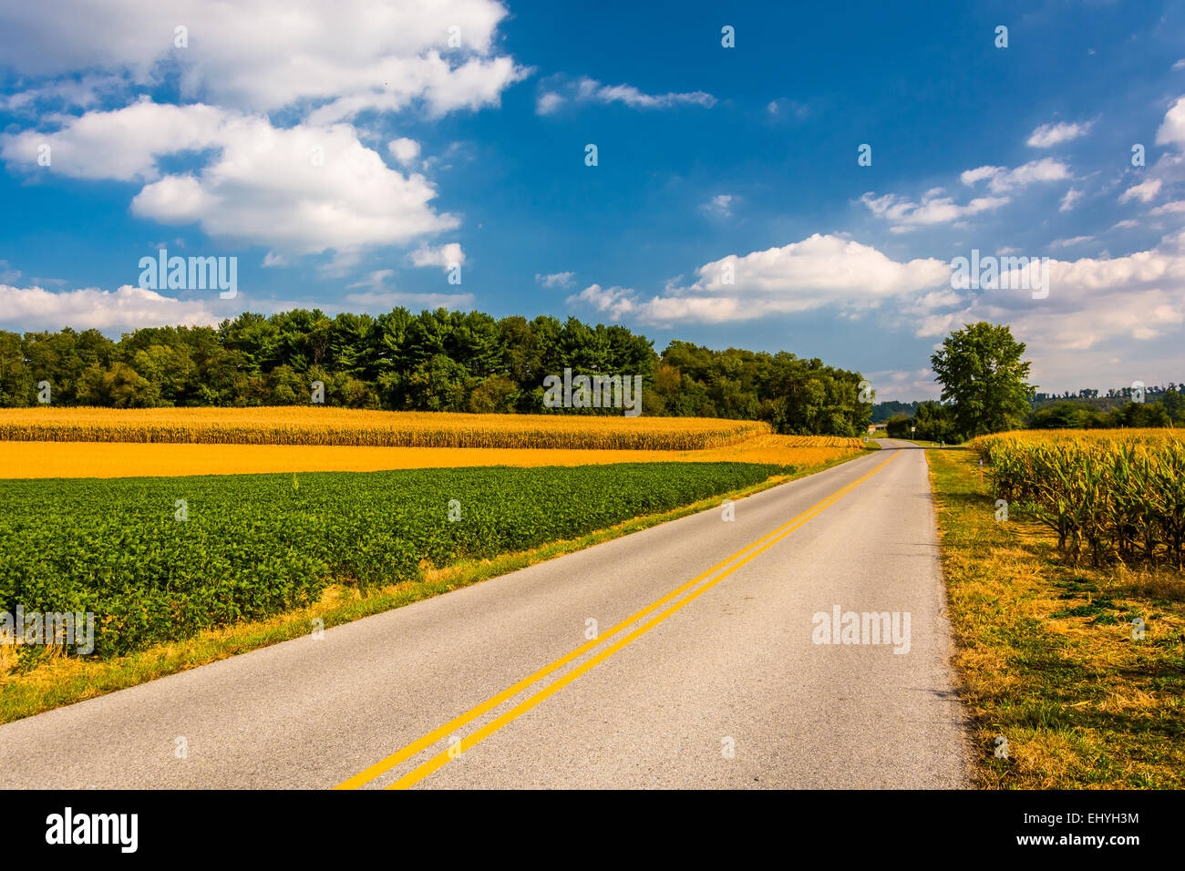 Strada di campagna nelle zone rurali a York County, Pennsylvania. Foto Stock