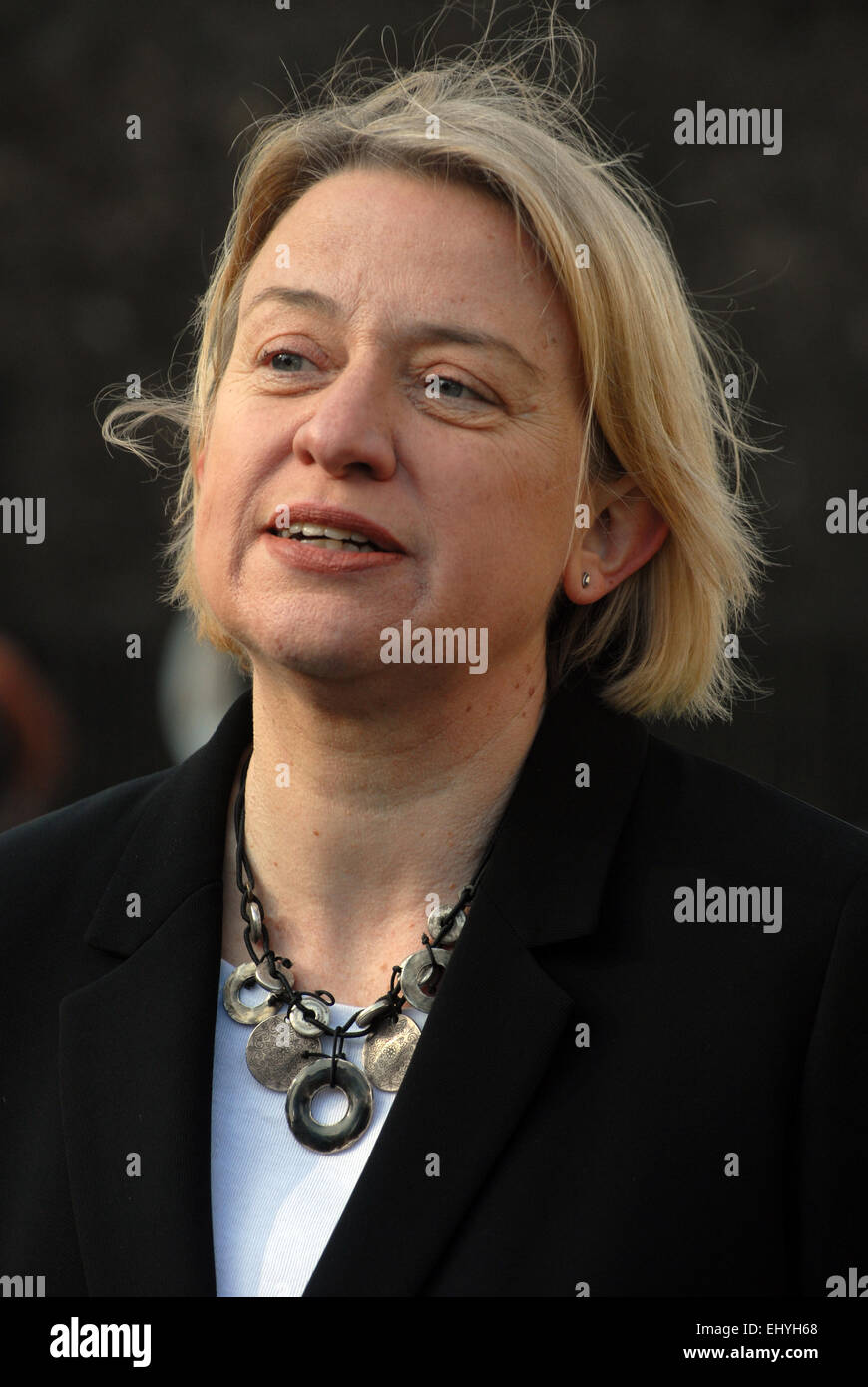 Londra, Regno Unito. Il 18 marzo, 2015. Natalie Bennett, leader del partito dei Verdi, incontra la stampa su College Green di fronte alla Casa del Parlamento dopo l'ultimo bilancio prima delle elezioni. Credito: JOHNNY ARMSTEAD/Alamy Live News Foto Stock Londra, Regno Unito. Il 18 marzo, 2015. Natalie Bennett, leader del partito dei Verdi, incontra la stampa su College Green di fronte alla Casa del Parlamento dopo l'ultimo bilancio prima delle elezioni. Credito: JOHNNY ARMSTEAD/Alamy Live News Foto Stock