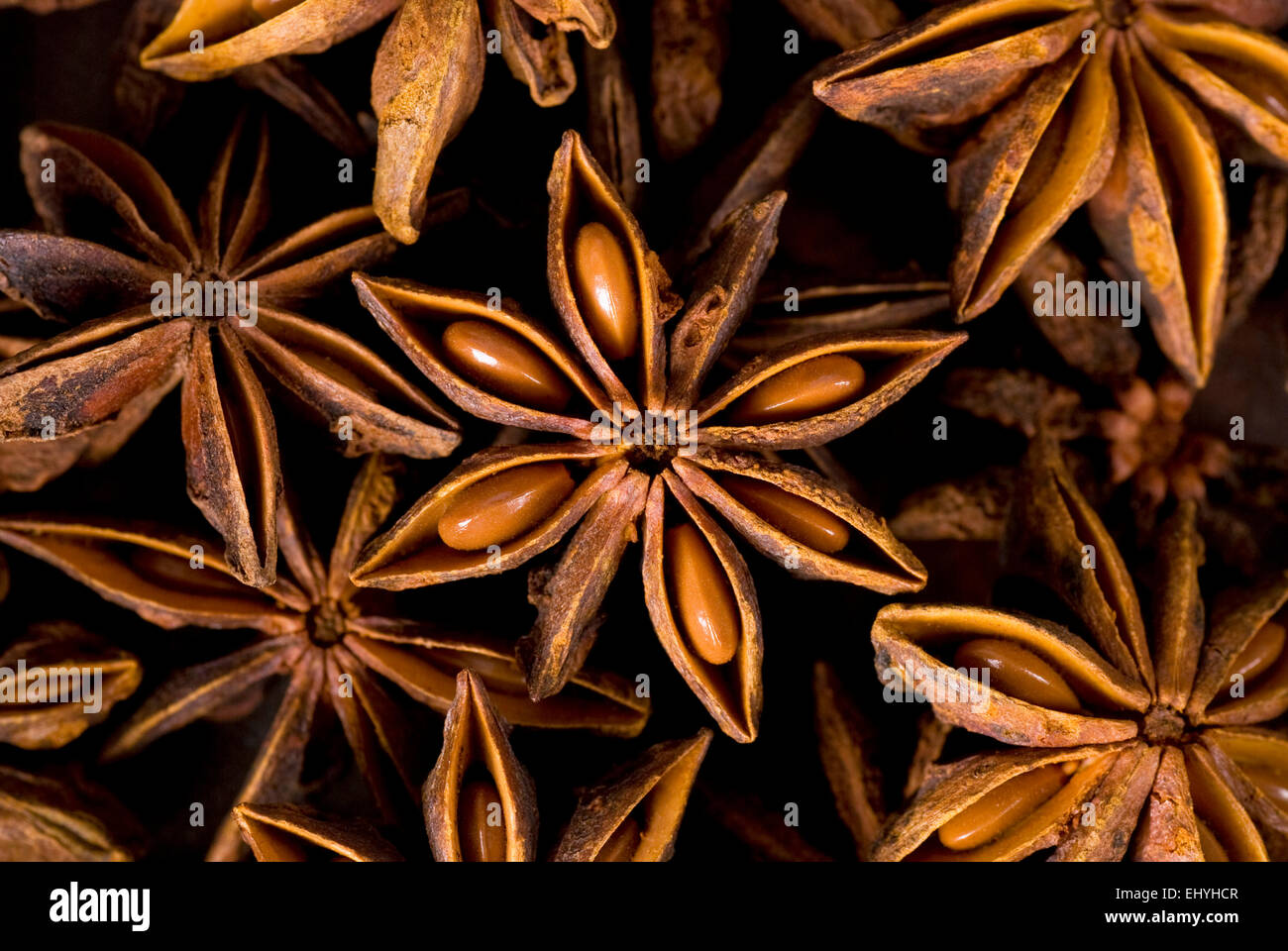 Anice stellato frame completo dello sfondo. Foto Stock