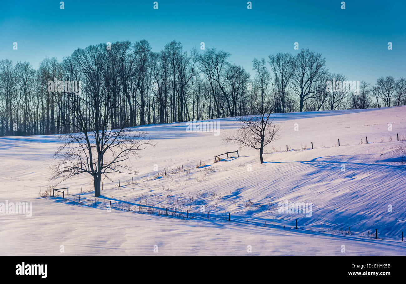 Recinzioni e alberi su una coperta di neve in collina rurale della contea di York, Pennsylvania. Foto Stock