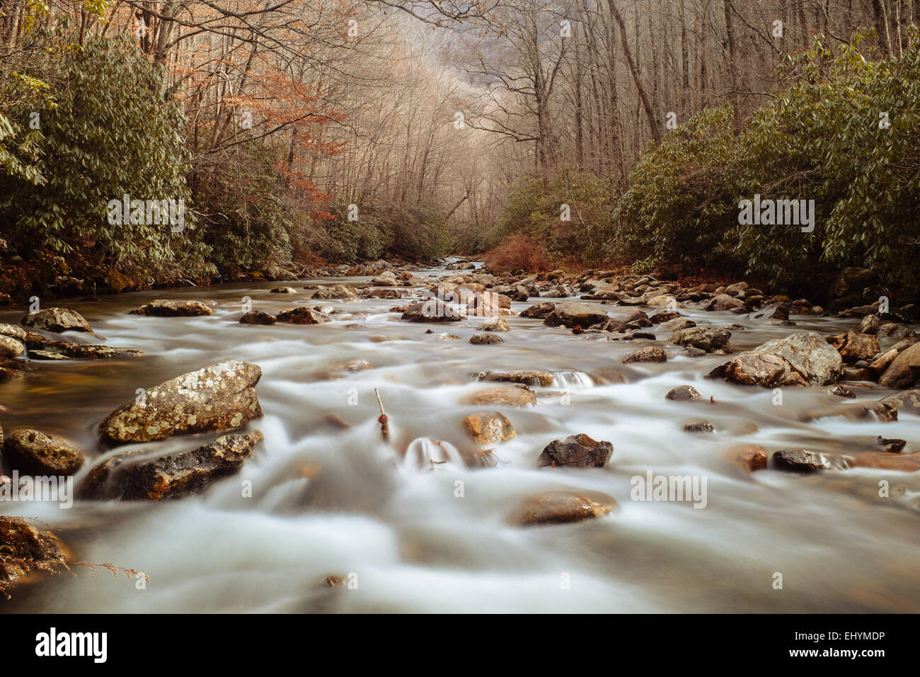 Mountain stream, North Carolina, Stati Uniti Foto Stock