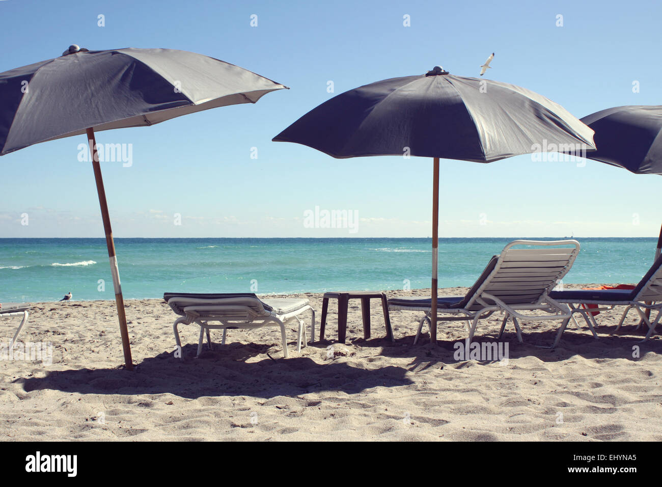 Sedie a sdraio e ombrelloni, South Beach, Florida, Stati Uniti d'America Foto Stock