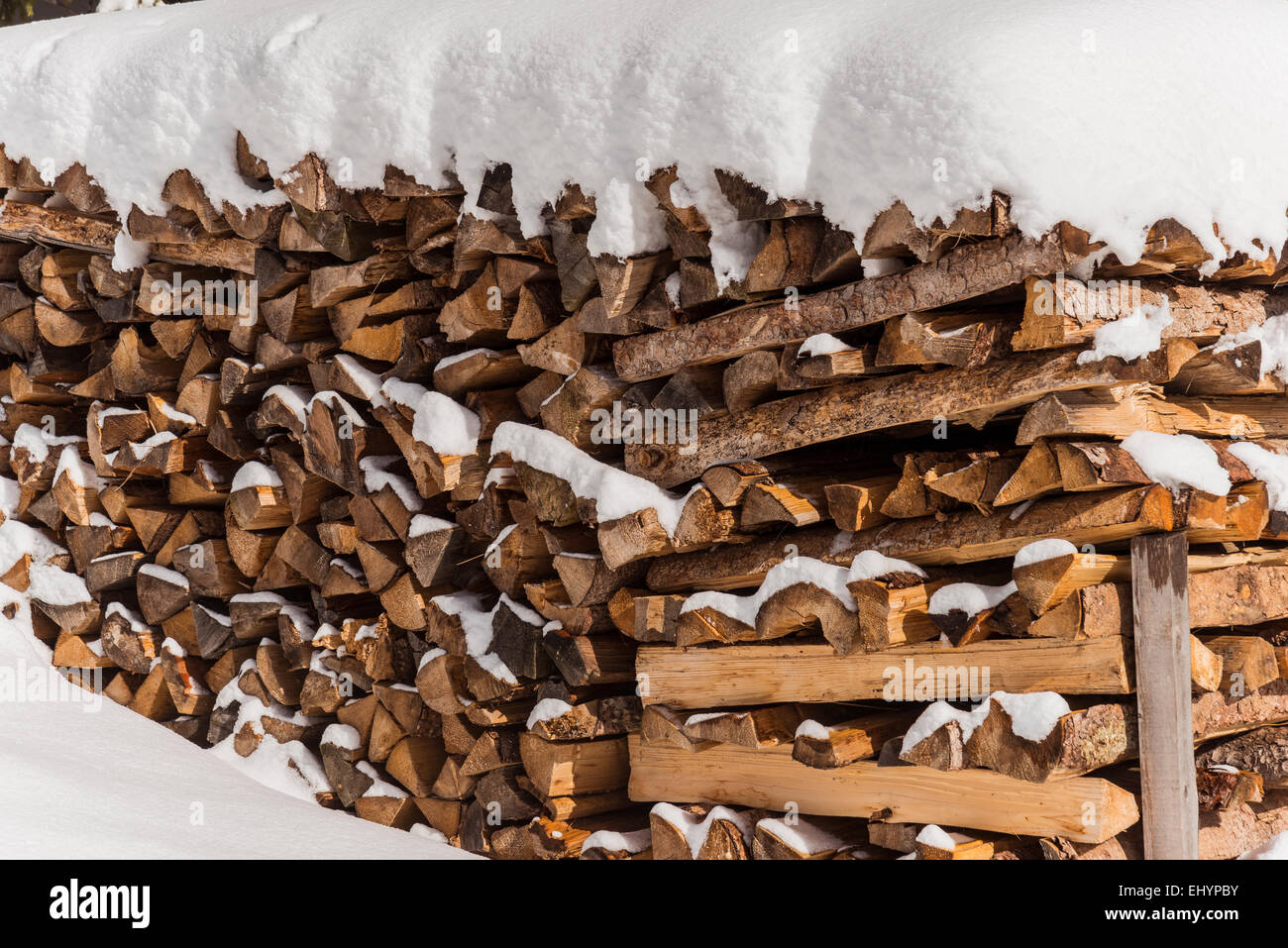 Catasta di legno con neve, Tirolo, Austria Foto Stock