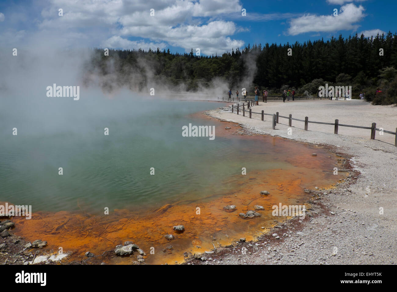 Champagne piscina al Wai O Tapu, Isola del nord, Nuova Zelanda Foto Stock