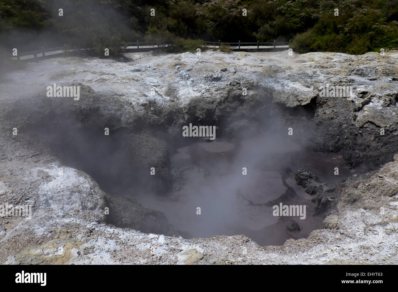 Rotorua molle di fango. Isola del nord. Nuova Zelanda Foto Stock