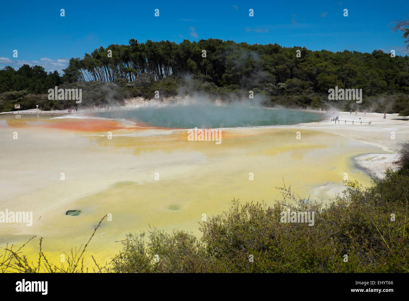 Champagne piscina al Wai O Tapu, Isola del nord, Nuova Zelanda Foto Stock