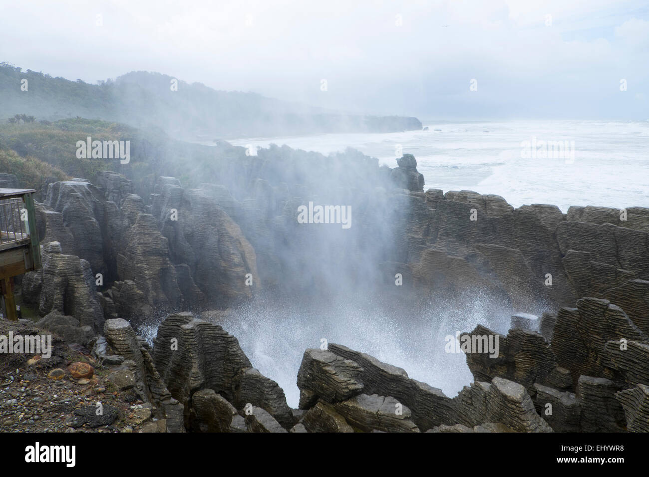 Blowhole a Punakaiki (Pancake Rocks), Isola del Sud, Nuova Zelanda Foto Stock