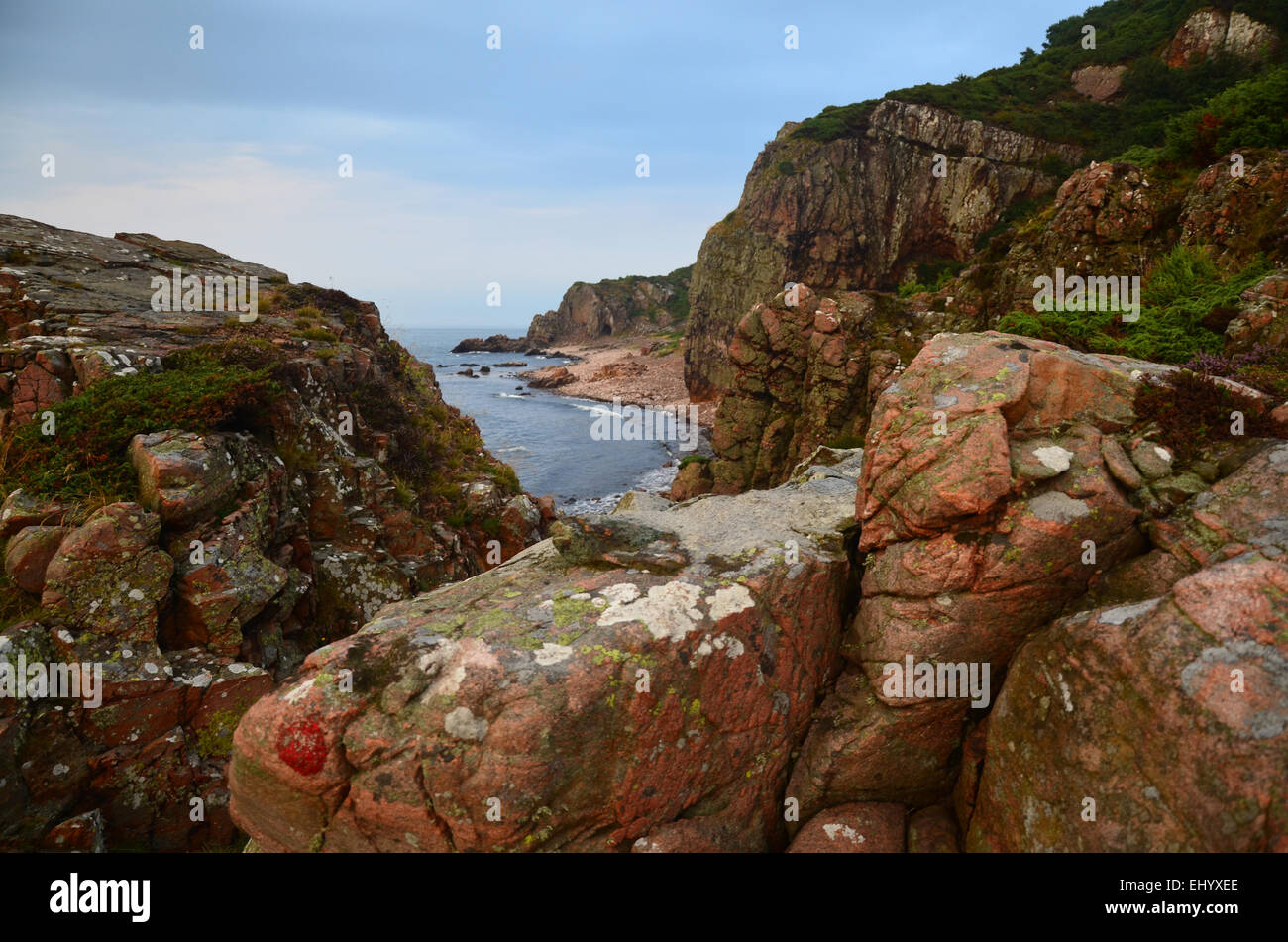 La Svezia, Europa, Skane, örkeljunga, sul lago storsjö, isola, isola, estate Foto Stock