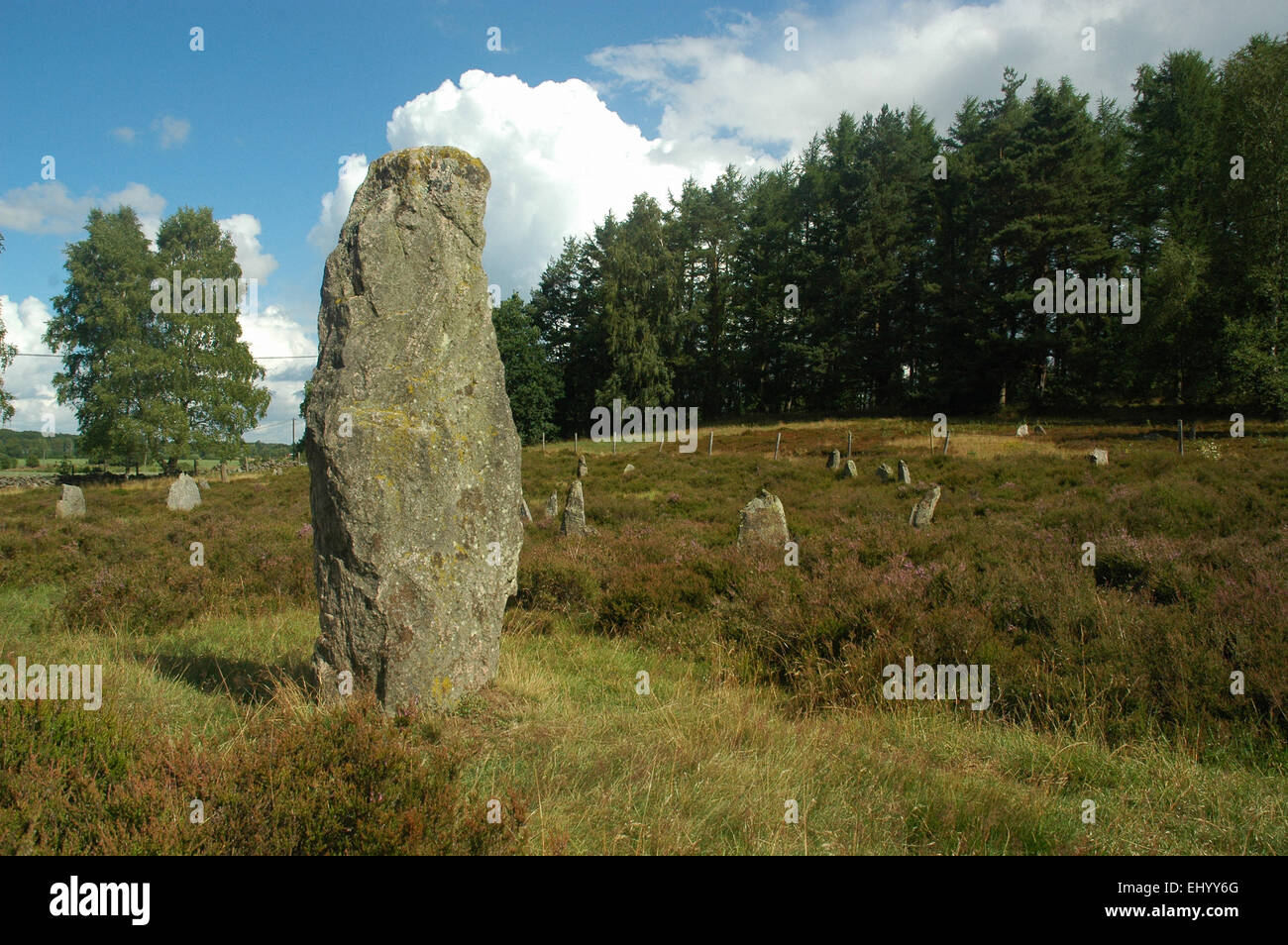 La Svezia, Europa, Skane, vätteryd gravfält, cimitero, menhir, sösdala, Moor Foto Stock