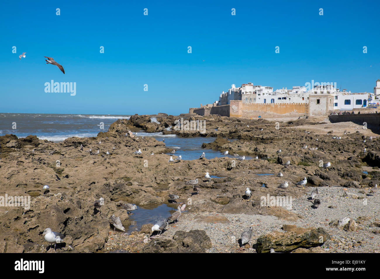 Bastioni e mura antiche della città di vecchia città di Essaouira, Marocco, Africa del Nord Foto Stock