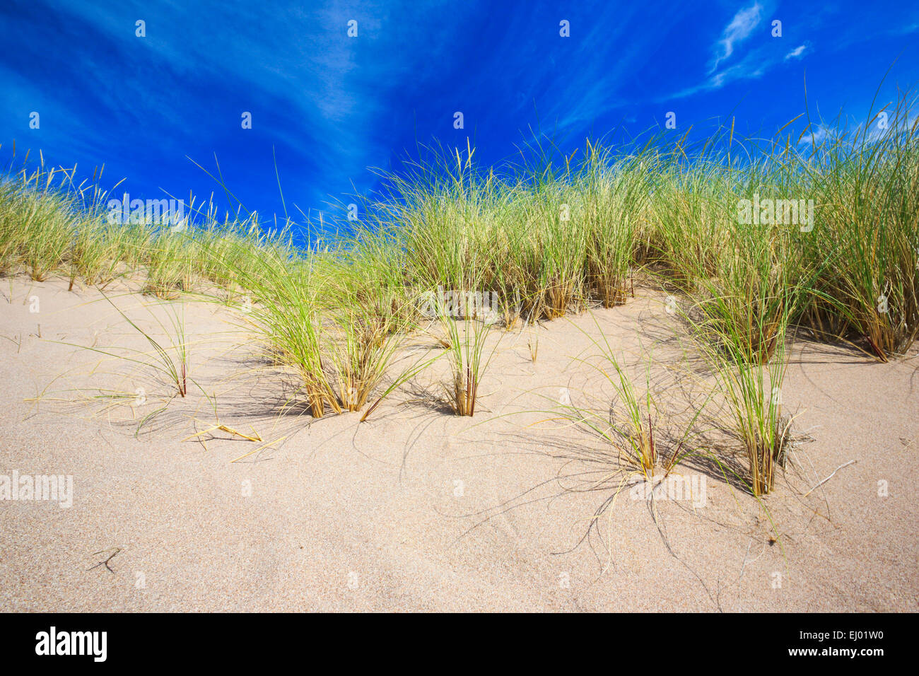 Erba di dune, dune, corpi di acqua, Gran Bretagna, Highland, highlands, sky, costa, paesaggi costieri, paesaggio, paesaggio, mare, mare Foto Stock