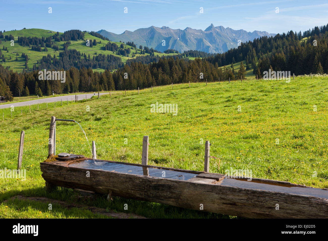 Il Col des muschi, Svizzera, Europa, canton Vaud, Pays d'Enhaut, Pass, ben Foto Stock