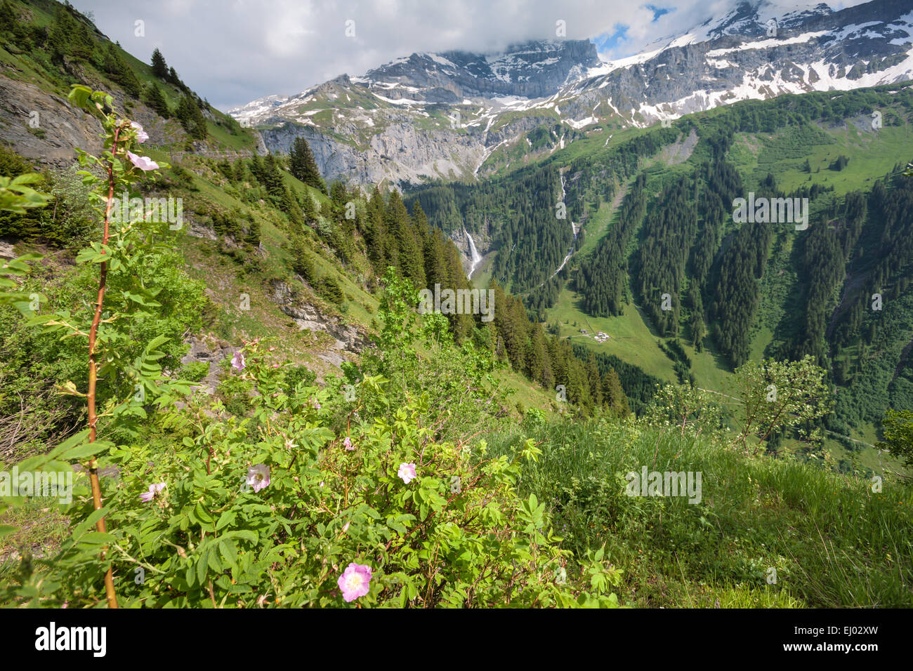 Klausen pass, Svizzera, Europa, Canton Uri, mountain pass Foto Stock