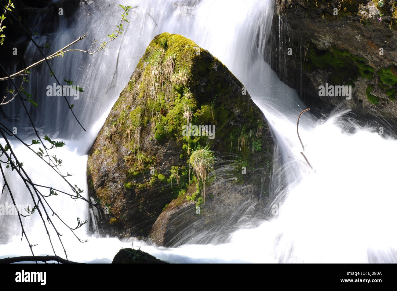 La Svizzera, Europa, Uri, Gurtnellen, Fellital, rock, Cliff, Brook, creek, Brook, MOSS, cascata Foto Stock