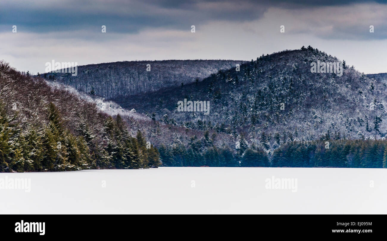 Neve e ghiaccio coperto montagne circostanti di lunga esecuzione di Pino serbatoio, in Michaux la foresta di stato, Pennsylvania. Foto Stock