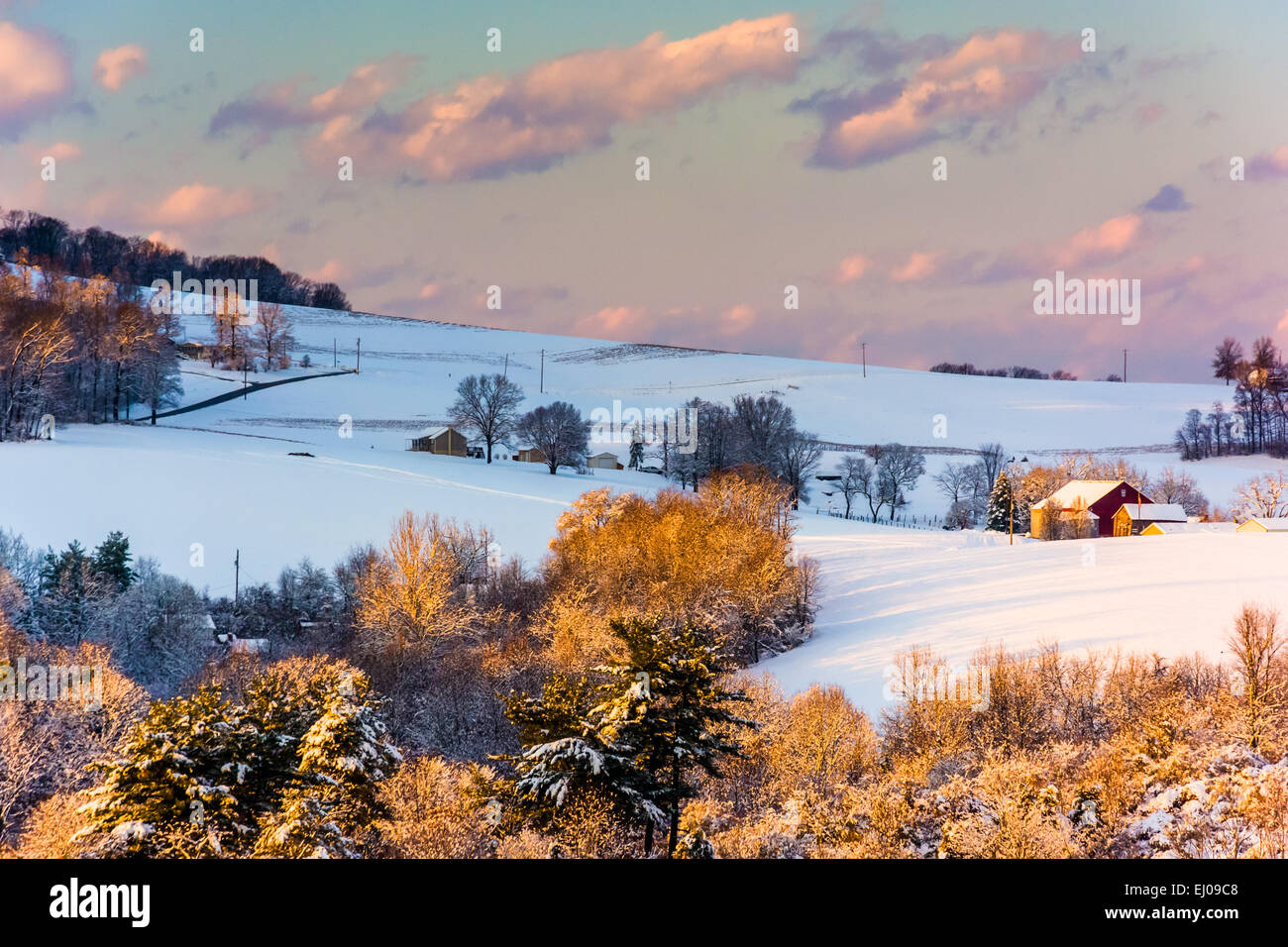 Coperta di neve colline e campi di fattoria al tramonto, nelle zone rurali a York County, Pennsylvania. Foto Stock