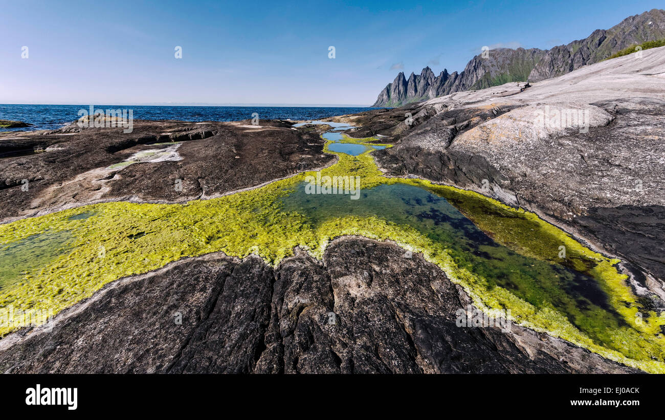Alga, bay, rock, Cliff, rock costa, Fjord, montagne, granito, erba verde, verde, costa, costale, gamma, paesaggio, paesaggio, natu Foto Stock
