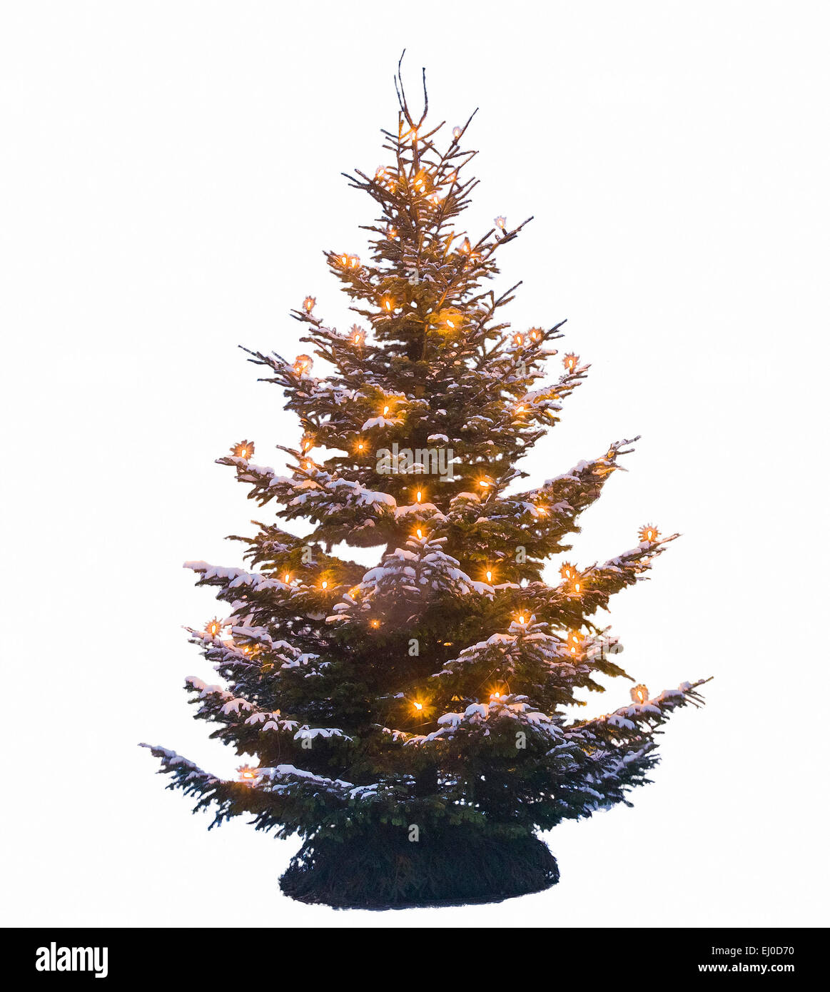 La Baviera, Europa, Germania, luci, albero di Natale, illuminaton, albero di Natale Illuminazione, Natale, per Natale, solennemente, isola Foto Stock