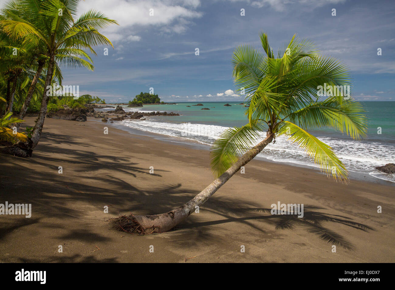 Sud America, America Latina, Colombia, mare, natura, palme, spiaggia, mare, costa, Palm Beach, pacifico, mare, Nuqui, Golfo de Tri Foto Stock