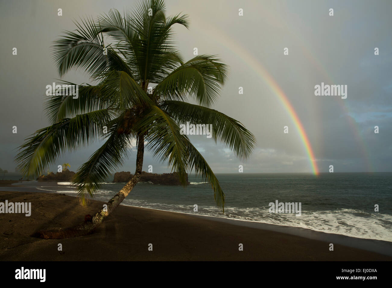 Sud America, America Latina, Colombia, mare, natura, palme, spiaggia, mare, costa, rainbow, Palm Beach, pacifico, mare, Nuqui, Gol Foto Stock