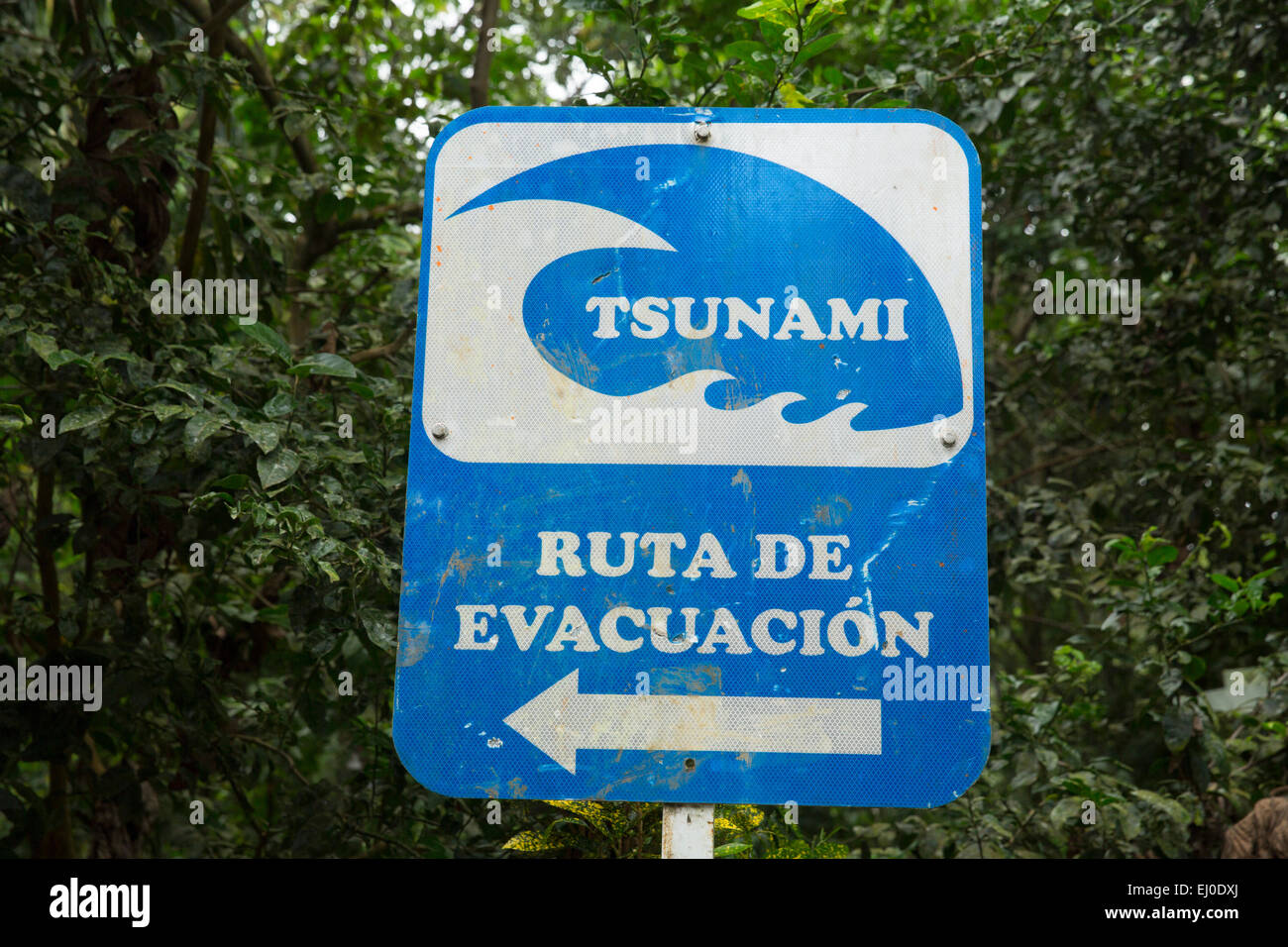 Sud America, America Latina, Colombia, Termales, Pacific Tsunami Warning, segno, Foto Stock