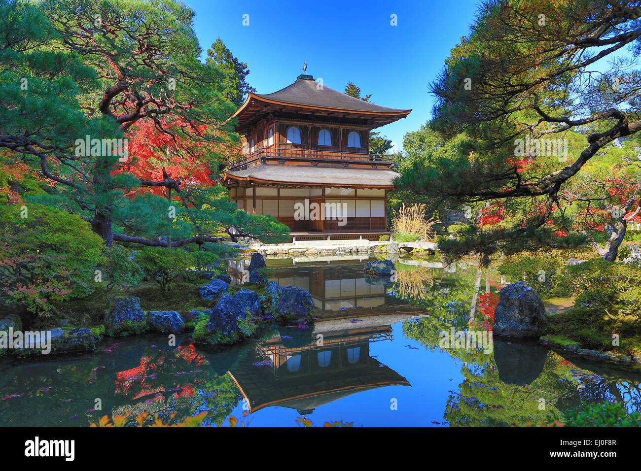 Eredità di Mondo, Ginkaku-ji, Giappone, Asia, Kansai, Kyoto, Giapponese, Paesaggio, architettura, colorato, caduta, giardino, house, momiji Foto Stock