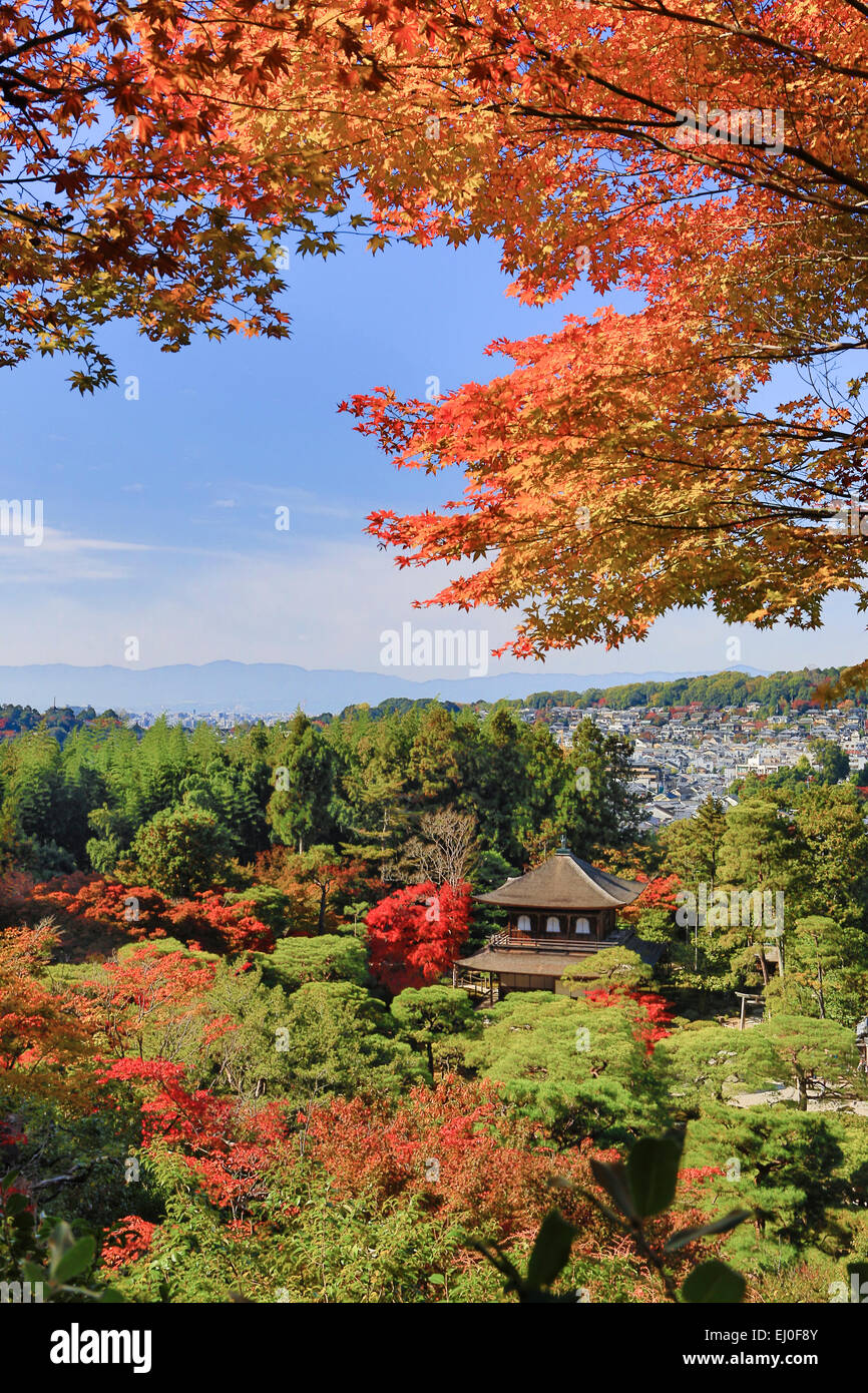 Eredità di Mondo, Ginkaku-ji, Giappone, Asia, Kansai, Kyoto, Giapponese, paesaggio, l'architettura, l'autunno, colorato, caduta, giardino, house Foto Stock