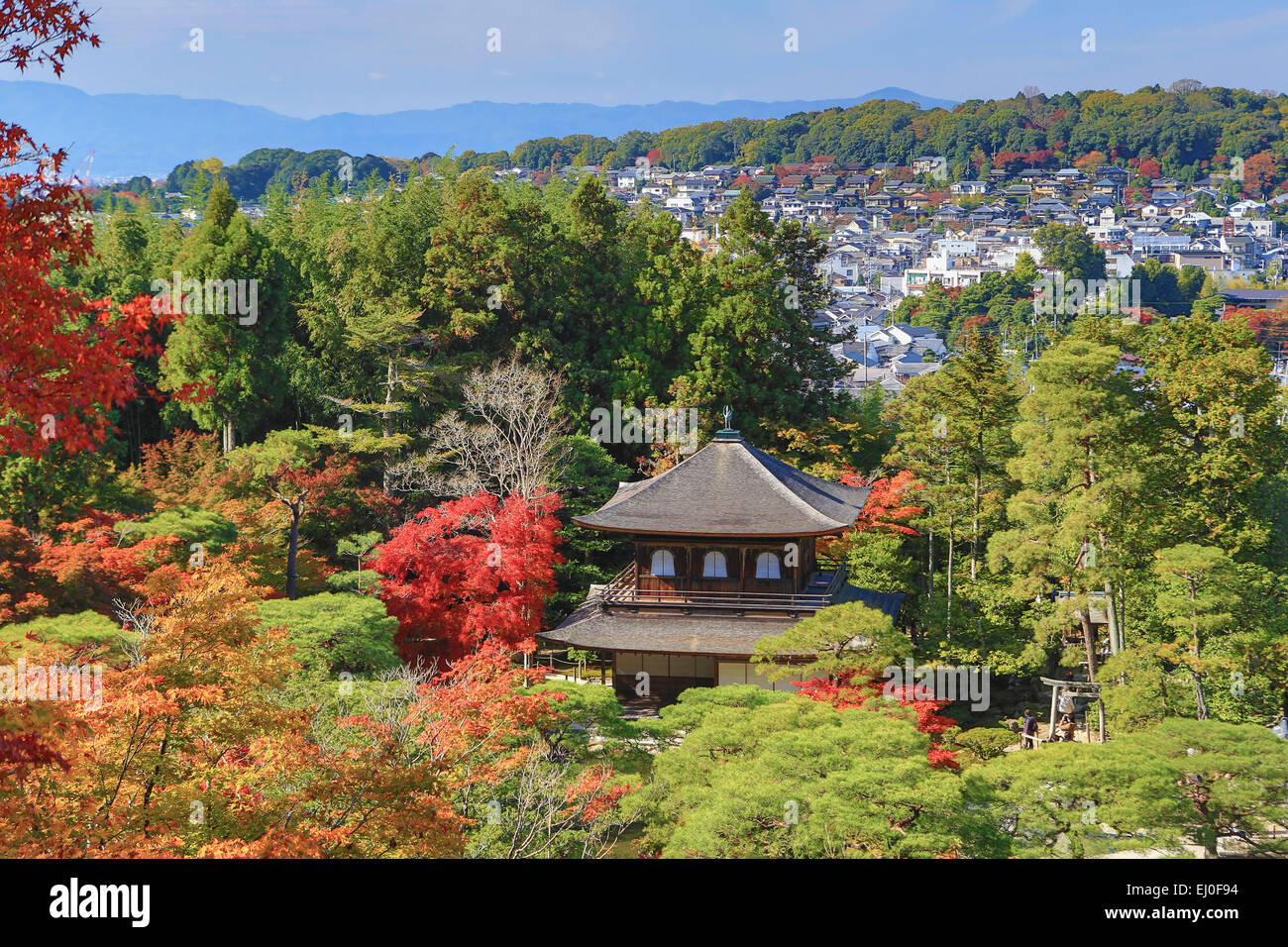 Eredità di Mondo, Ginkaku-ji, Giappone, Asia, Kansai, Kyoto, Giapponese, paesaggio, l'architettura, l'autunno, colorato, caduta, giardino, house Foto Stock