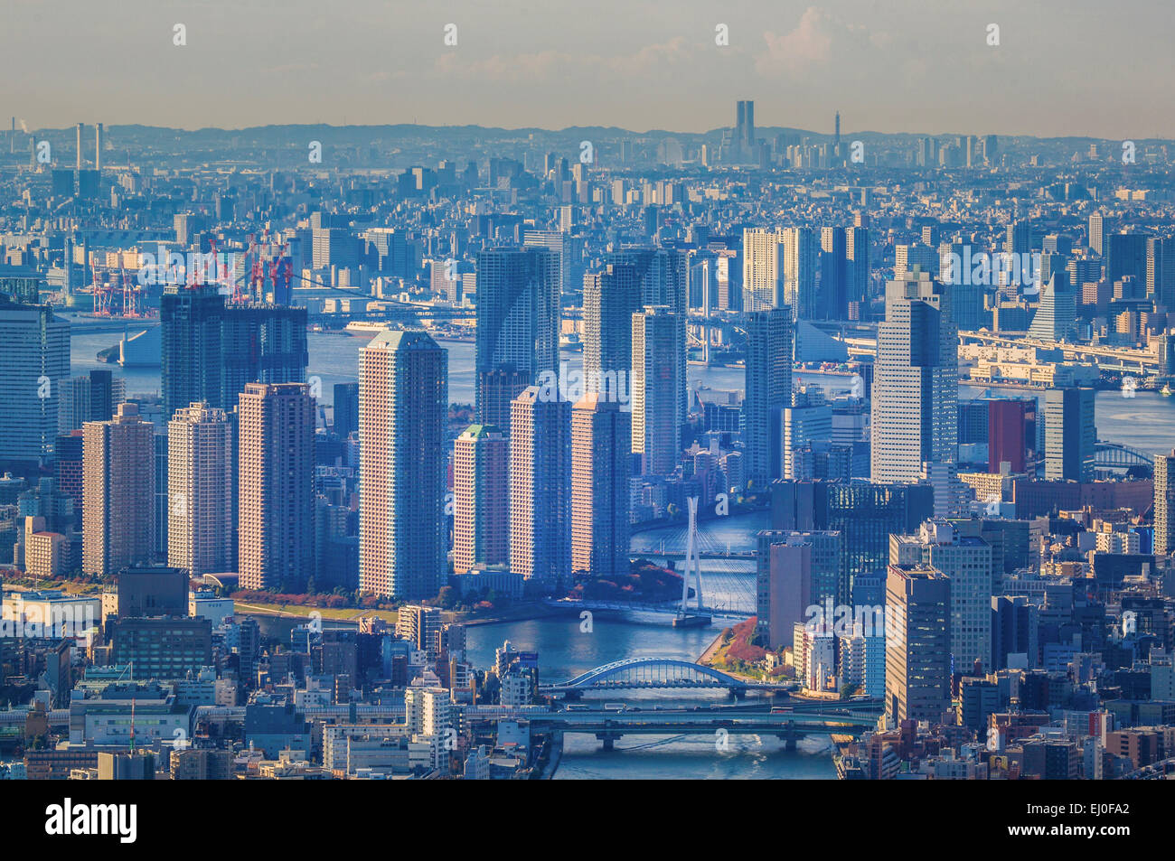 City, Giappone, Asia, Kanto, Tokyo, antenna, architettura, bay, ponti, caduta, metropoli, Minatoku, nessun popolo, panorama, sul fiume skyl Foto Stock