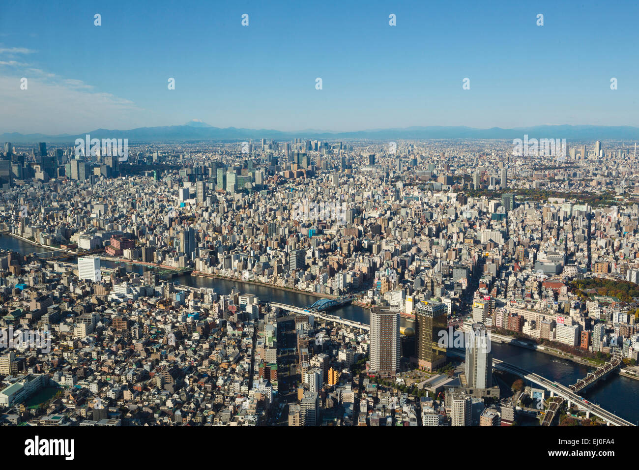 Akihabara, City, Giappone, Asia, Kanda, Kanto, il Monte Fuji, Tokyo, antenna, architettura, Fuji, metropoli, nessun popolo, panorama, Fiume Foto Stock
