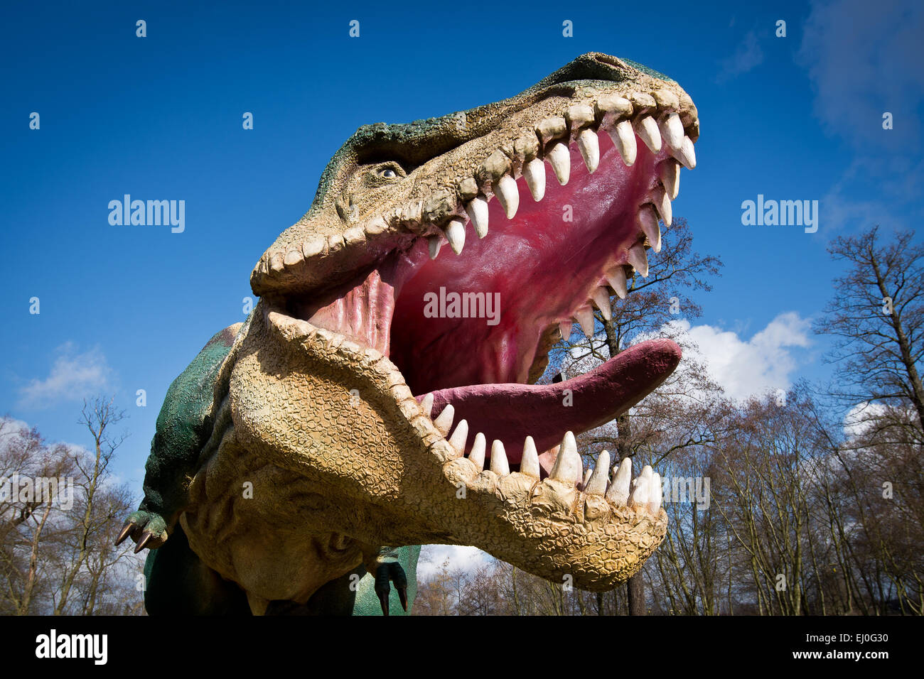 Dinosauro Tirannosauro Rex Foto Stock