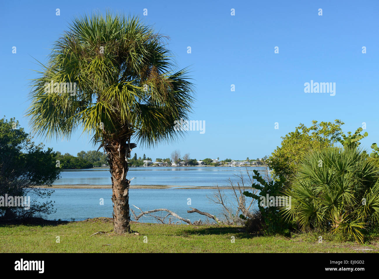 Stati Uniti d'America, Florida, Charlotte e Lee County, Gasparilla island Foto Stock