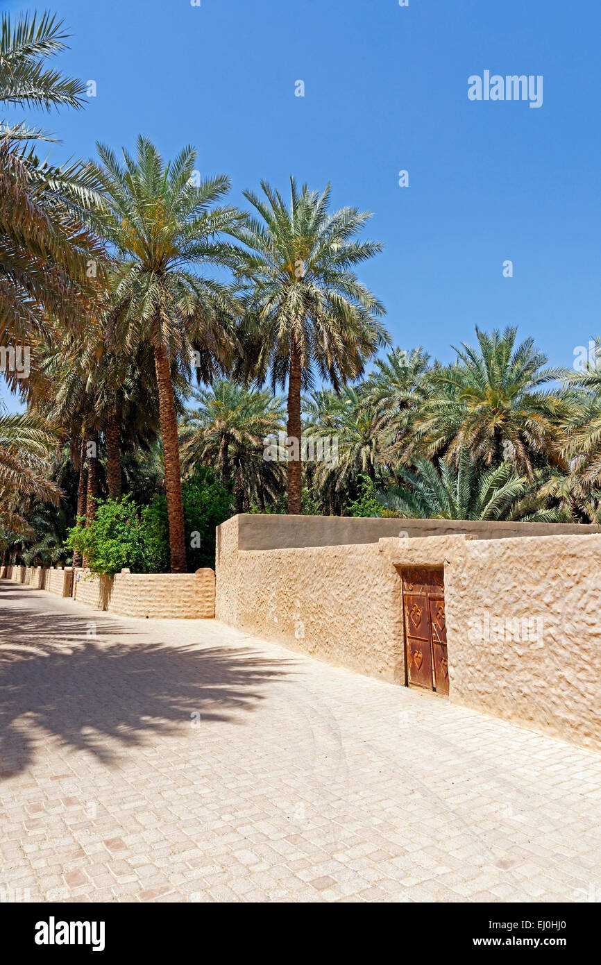 Asia Emirati Arabi Uniti, Emirati Arabi, Abu Dhabi Al Ain, prima strada, Al Ain Oasis, oasi, palme, modi, pareti, porte, alberi, giardini, pa Foto Stock