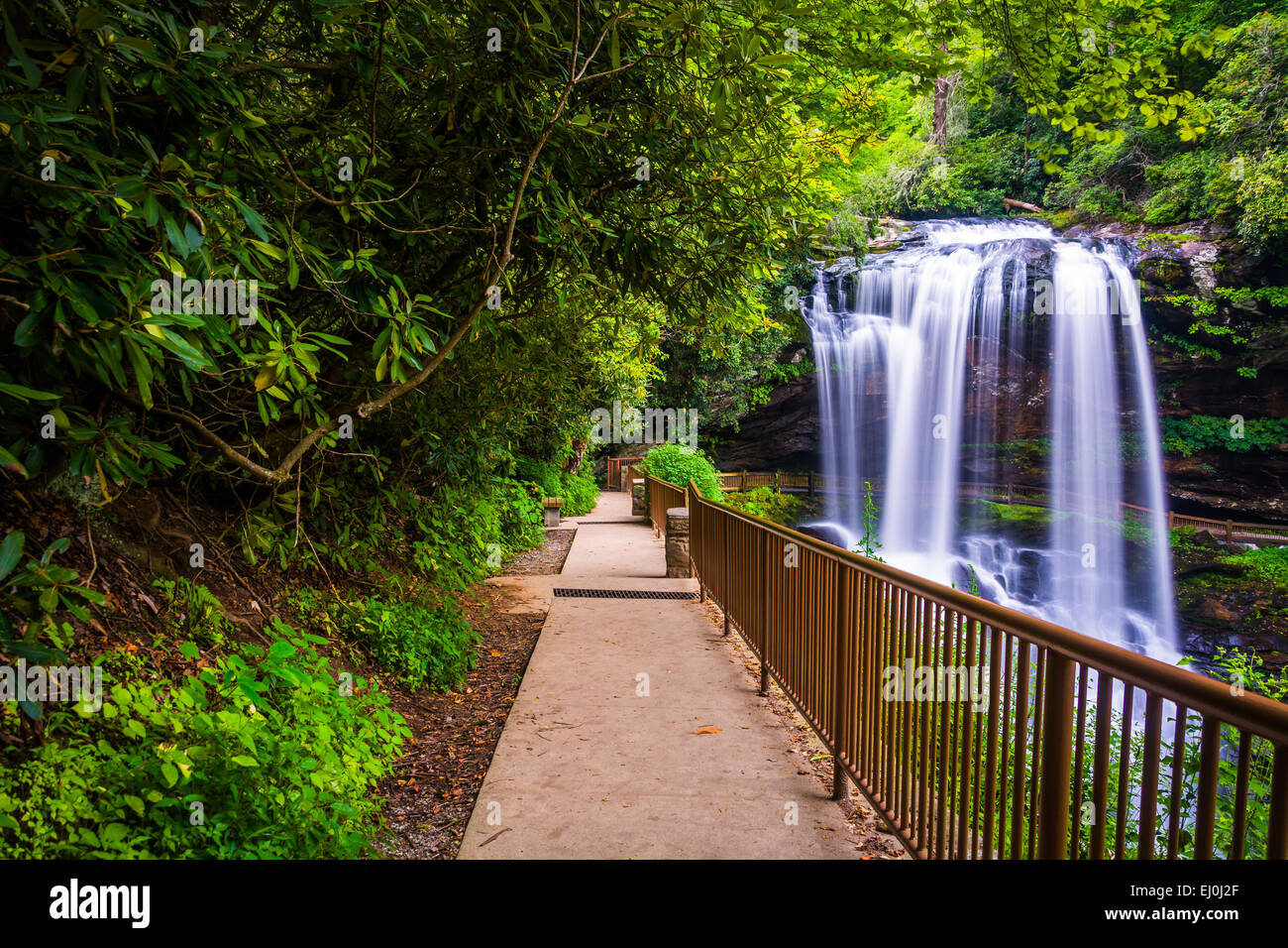 Sentiero e scende a secco, in Nantahala National Forest, North Carolina. Foto Stock