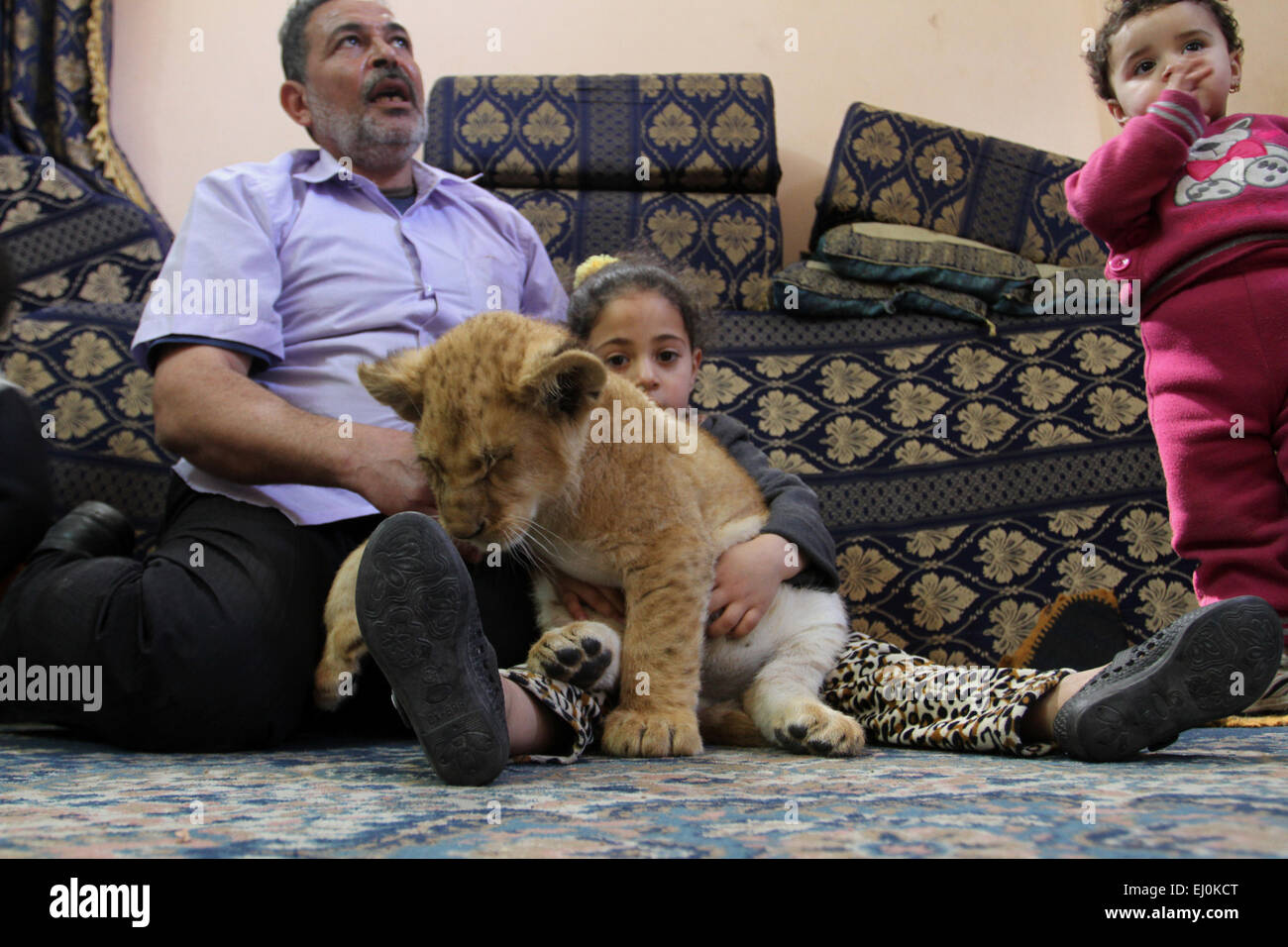 Rafah nella striscia di Gaza, Territori palestinesi. Xix Mar, 2015. Rifugiato palestinese Saad Eldeen Al-Jamal e due dei suoi nipoti giocare con i suoi due African Lion cubs dentro la sua casa a Al-Shabora Refugee Camp di Rafah nel sud della striscia di Gaza il 19 marzo 2015. Al-Jamal ha finalmente realizzato il suo sogno di elevare i Lions a casa dopo aver acquisito i due lupetti, i cui genitori sono ritenute sono state introdotte di contrabbando in Gaza attraverso un tunnel lungo il confine con l'Egitto quasi tre anni fa. La sua famiglia hanno chiamato il cucciolo femmina Mona, un nome arabo, mentre il maschio di leone era di nome Alex (credito Immagine: © AB Foto Stock