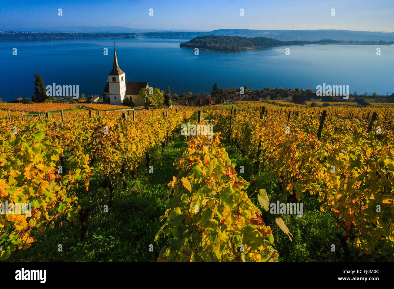 Alpi, Alpino, panorama, montagne, panorama di montagna, Canton Berna, il Lago di Biel, autunno, colori, chiesa, Ligerz, panorama, vigneto, Foto Stock