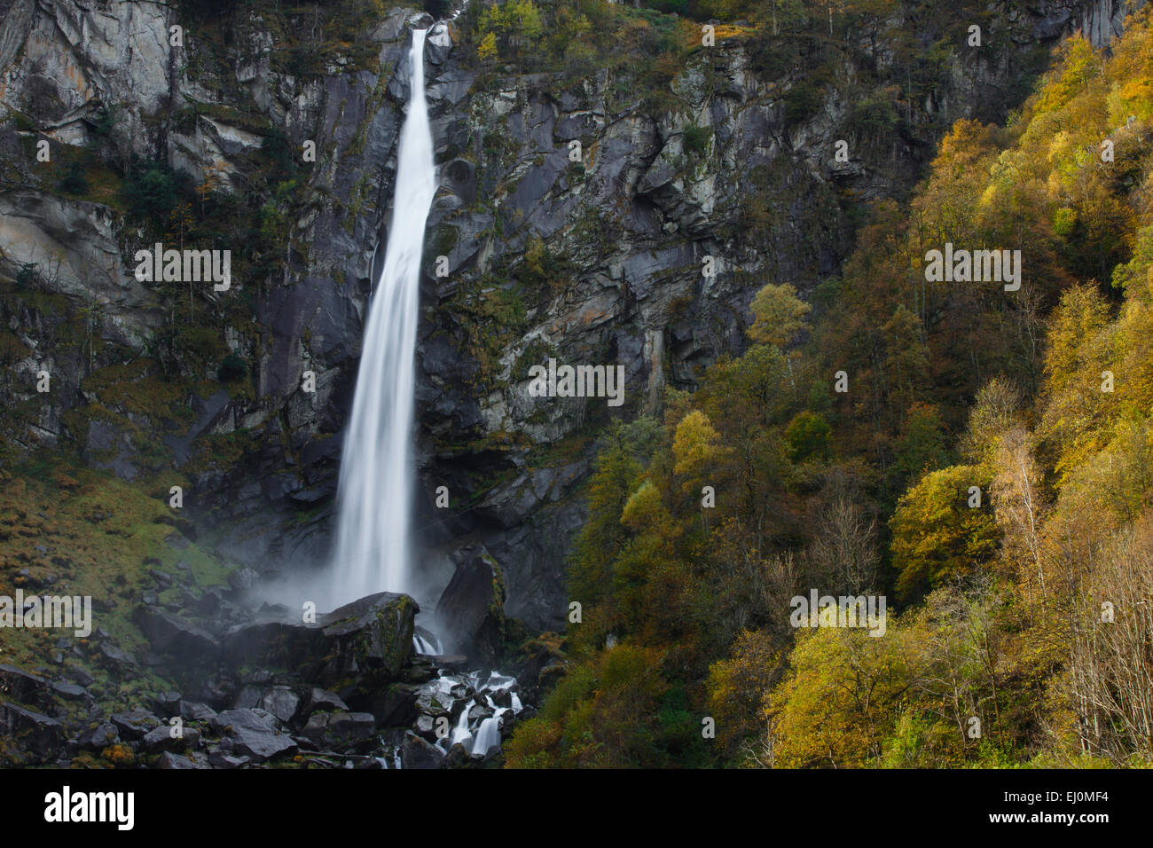 Cliff, rocce, scogliere, scogliera, autunno, cascata, Cascades, Svizzera, Europa, passaggi, Ticino, acqua, portata, foroglio Foto Stock