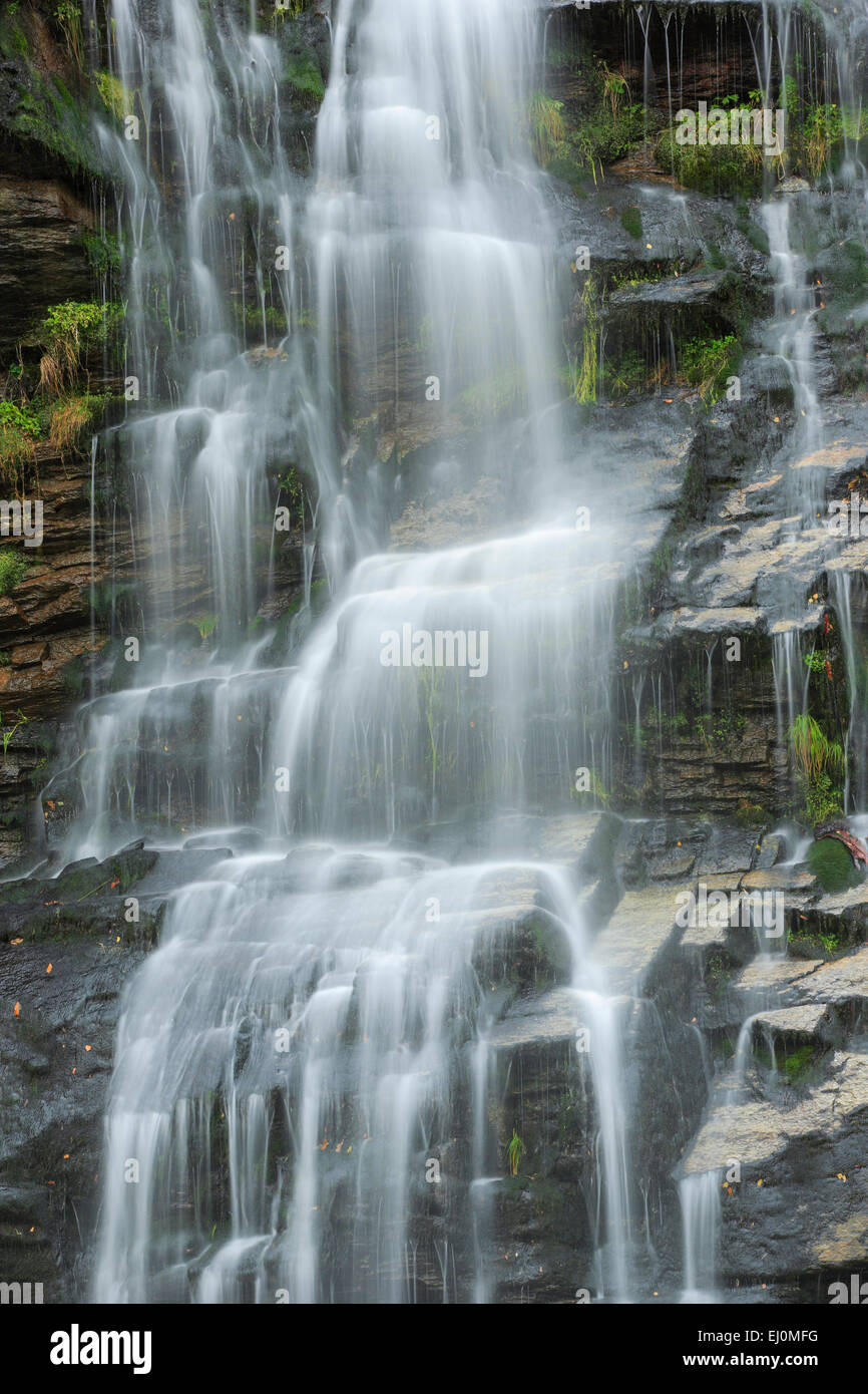 Faido, Cliff, rock, scogliera, fiume, flusso, autunno, cascata, Cascades, Svizzera, Europa, passaggi, Ticino, acqua, portata, chiaro, t Foto Stock