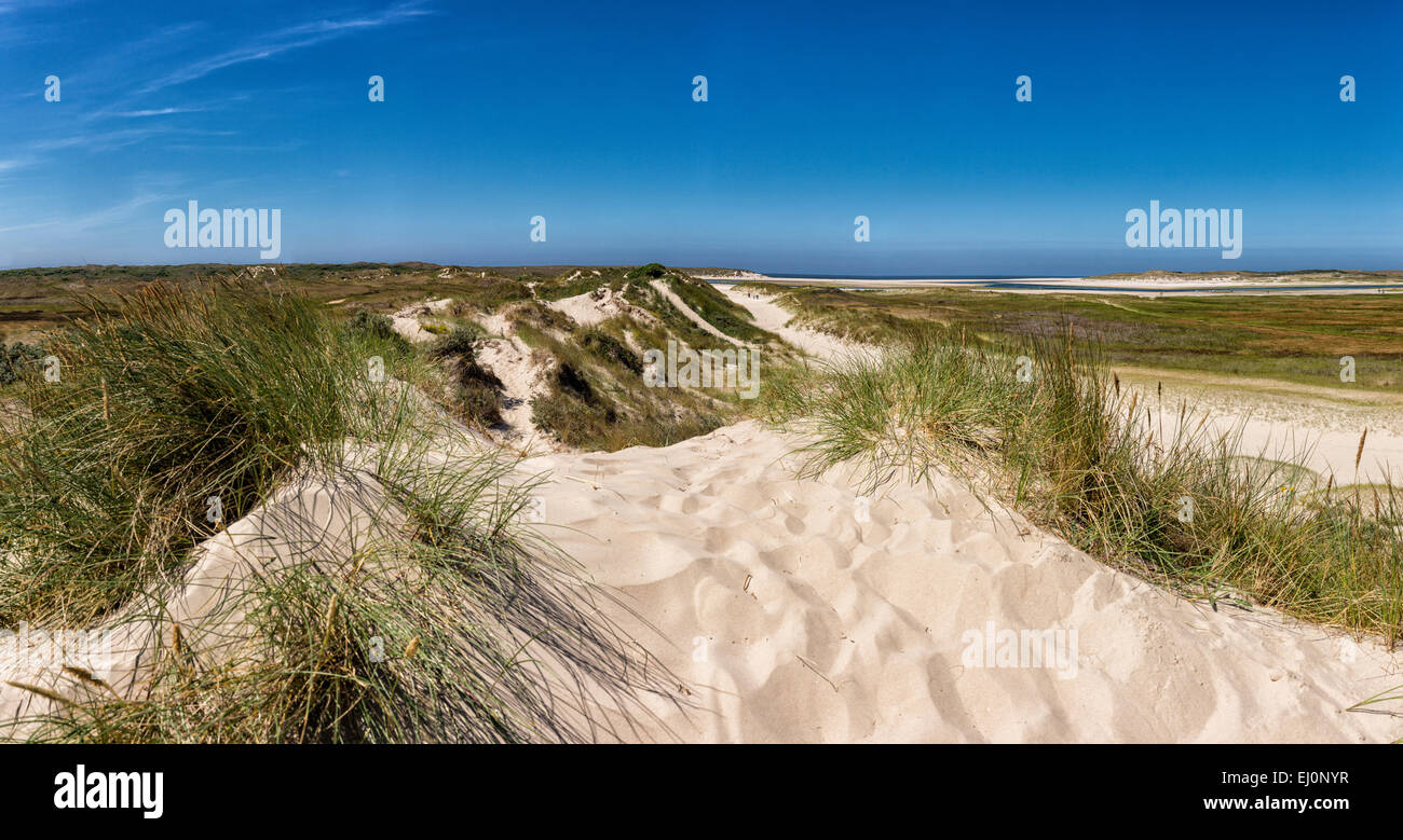 Paesi Bassi, Olanda, Europa De Cocksdorp, faro, Texel, Noord-Holland, paesaggio, Campo, Prato, Estate, spiaggia, mare, dune Foto Stock