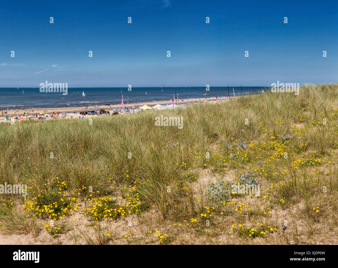 Paesi Bassi, Olanda, Europa Egmond aan Zee, Noord-Holland, paesaggio, Estate, spiaggia, mare, persone, dune Foto Stock