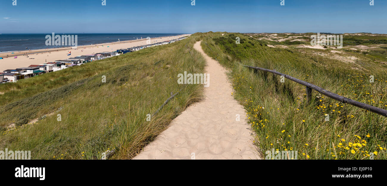 Paesi Bassi, Olanda, Europa Egmond aan Zee, Noord-Holland, paesaggio, Estate, spiaggia, mare, persone, dune Foto Stock