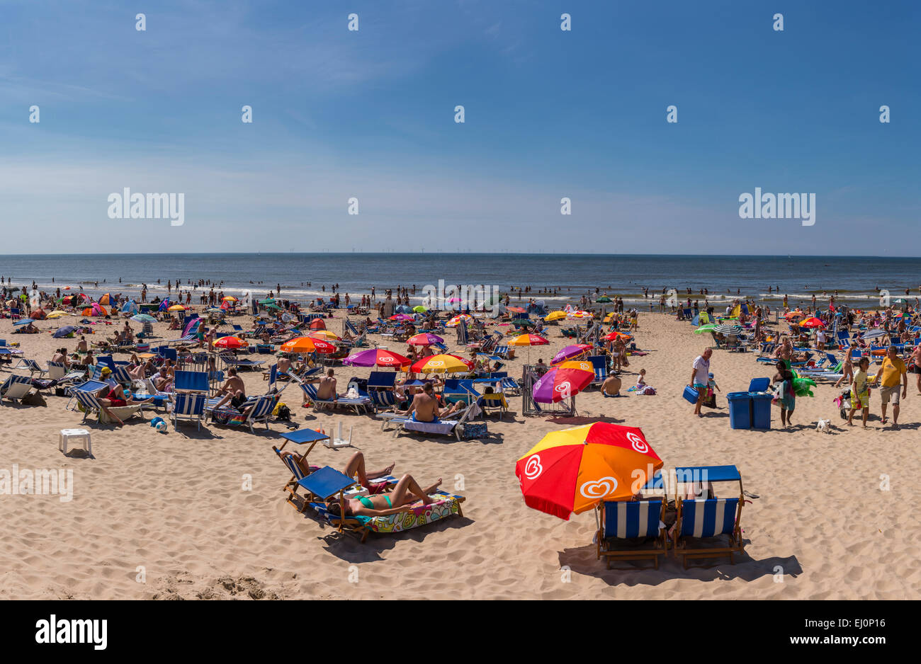 Paesi Bassi, Olanda, Europa Egmond aan Zee, Noord-Holland, paesaggio,  Estate, spiaggia, mare, persone Foto stock - Alamy